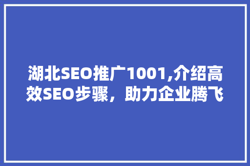 湖北SEO推广1001,介绍高效SEO步骤，助力企业腾飞