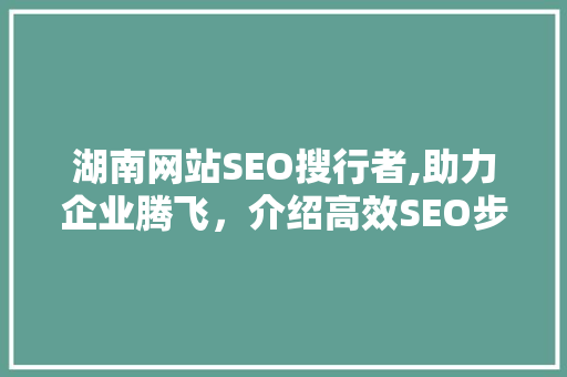 湖南网站SEO搜行者,助力企业腾飞，介绍高效SEO步骤
