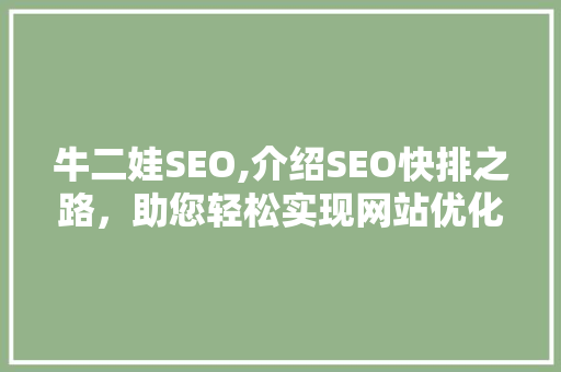 牛二娃SEO,介绍SEO快排之路，助您轻松实现网站优化