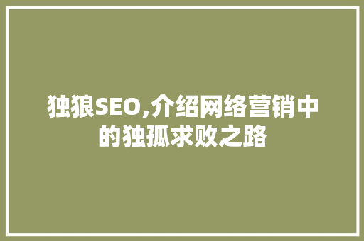 独狼SEO,介绍网络营销中的独孤求败之路