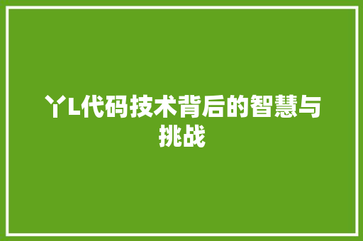 丫L代码技术背后的智慧与挑战