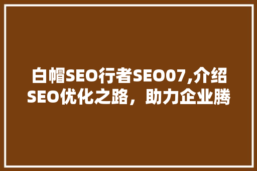 白帽SEO行者SEO07,介绍SEO优化之路，助力企业腾飞