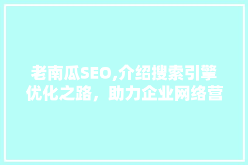 老南瓜SEO,介绍搜索引擎优化之路，助力企业网络营销腾飞