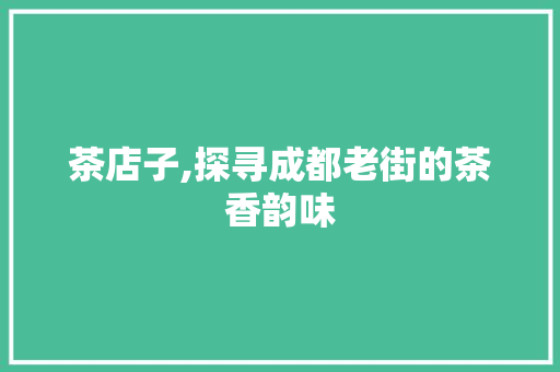 茶店子,探寻成都老街的茶香韵味