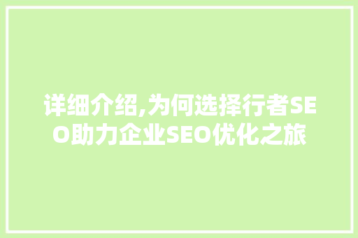 详细介绍,为何选择行者SEO助力企业SEO优化之旅