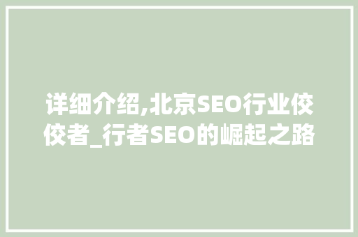 详细介绍,北京SEO行业佼佼者_行者SEO的崛起之路