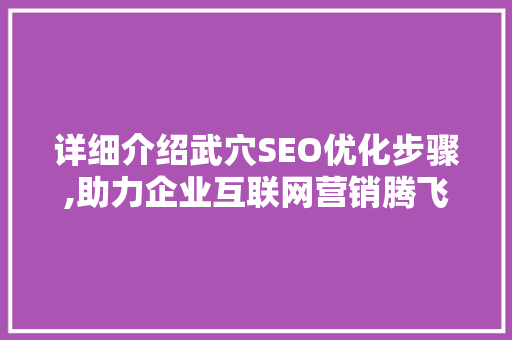 详细介绍武穴SEO优化步骤,助力企业互联网营销腾飞