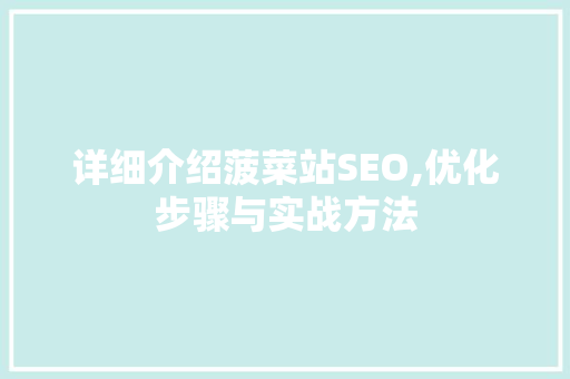 详细介绍菠菜站SEO,优化步骤与实战方法
