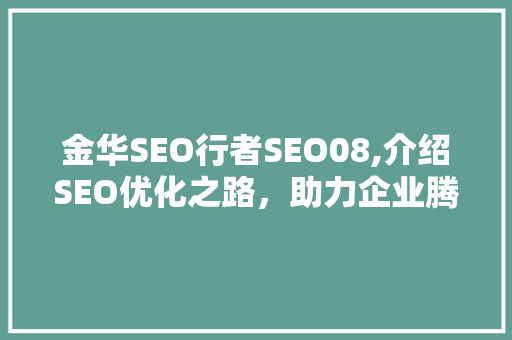 金华SEO行者SEO08,介绍SEO优化之路，助力企业腾飞