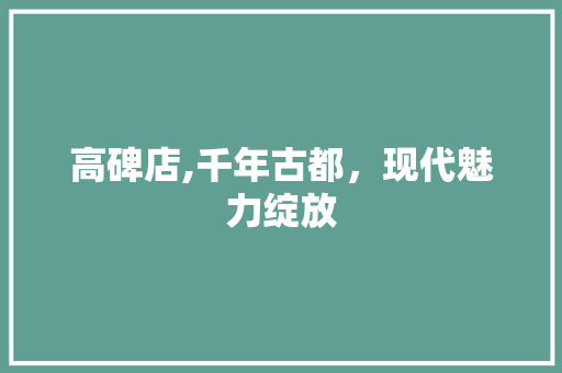 高碑店,千年古都，现代魅力绽放