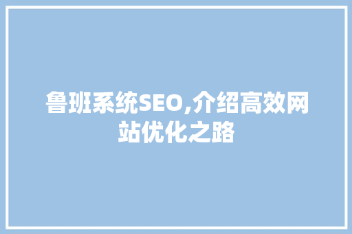 鲁班系统SEO,介绍高效网站优化之路