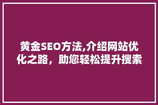 黄金SEO方法,介绍网站优化之路，助您轻松提升搜索引擎排名