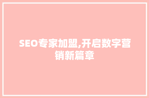 SEO专家加盟,开启数字营销新篇章