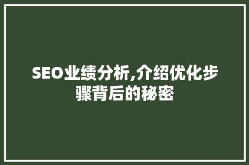SEO业绩分析,介绍优化步骤背后的秘密