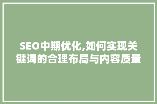 SEO中期优化,如何实现关键词的合理布局与内容质量的提升