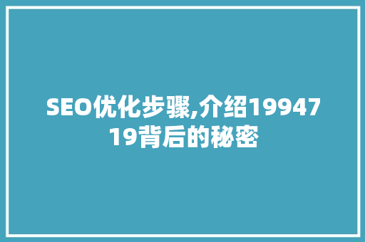 SEO优化步骤,介绍1994719背后的秘密