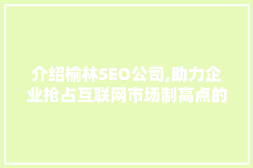 介绍榆林SEO公司,助力企业抢占互联网市场制高点的秘密武器