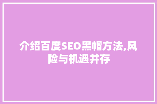 介绍百度SEO黑帽方法,风险与机遇并存