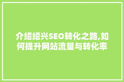 介绍绍兴SEO转化之路,如何提升网站流量与转化率