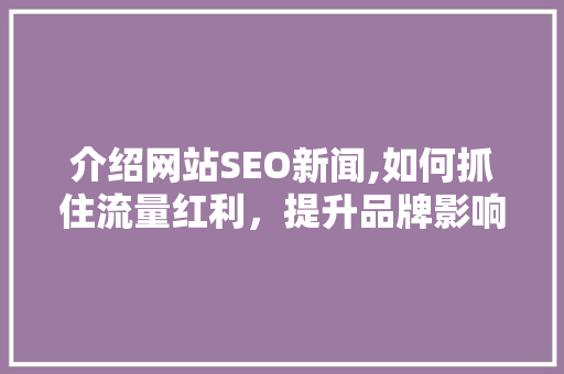 介绍网站SEO新闻,如何抓住流量红利，提升品牌影响力