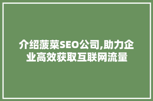 介绍菠菜SEO公司,助力企业高效获取互联网流量