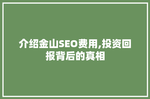 介绍金山SEO费用,投资回报背后的真相