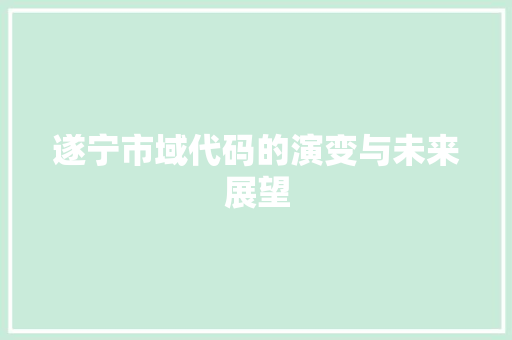 遂宁市域代码的演变与未来展望