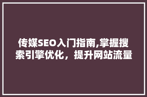 传媒SEO入门指南,掌握搜索引擎优化，提升网站流量与影响力