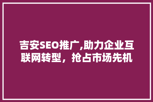 吉安SEO推广,助力企业互联网转型，抢占市场先机