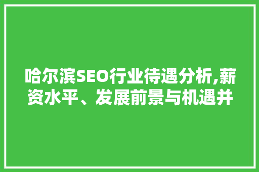 哈尔滨SEO行业待遇分析,薪资水平、发展前景与机遇并存  第1张