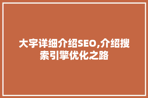 大宇详细介绍SEO,介绍搜索引擎优化之路
