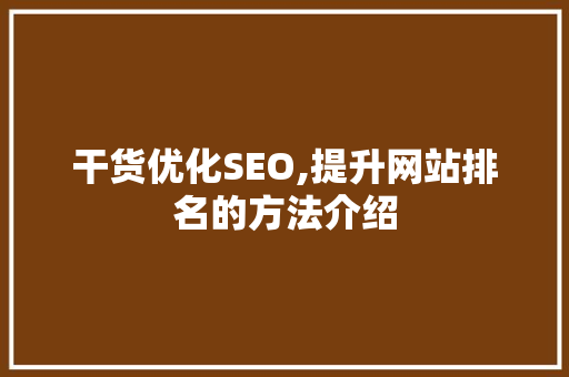 干货优化SEO,提升网站排名的方法介绍