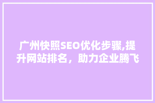 广州快照SEO优化步骤,提升网站排名，助力企业腾飞