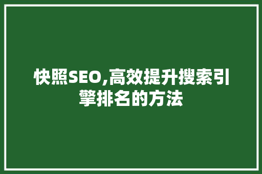 快照SEO,高效提升搜索引擎排名的方法