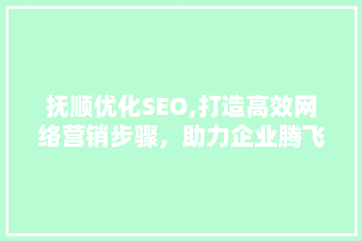 抚顺优化SEO,打造高效网络营销步骤，助力企业腾飞
