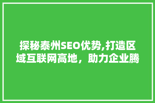 探秘泰州SEO优势,打造区域互联网高地，助力企业腾飞