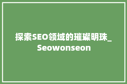 探索SEO领域的璀璨明珠_Seowonseon