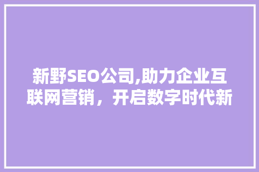 新野SEO公司,助力企业互联网营销，开启数字时代新篇章