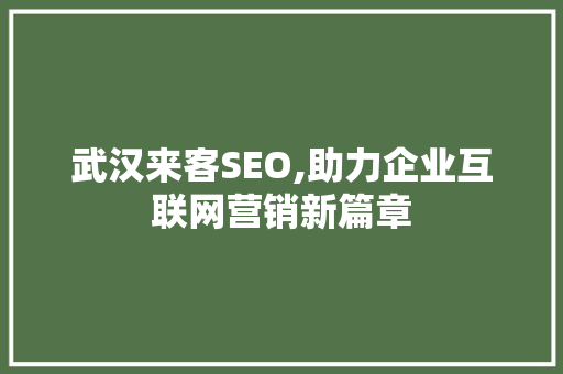 武汉来客SEO,助力企业互联网营销新篇章