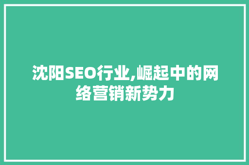 沈阳SEO行业,崛起中的网络营销新势力