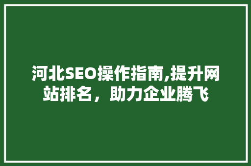 河北SEO操作指南,提升网站排名，助力企业腾飞