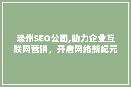 泽州SEO公司,助力企业互联网营销，开启网络新纪元