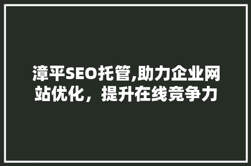 漳平SEO托管,助力企业网站优化，提升在线竞争力