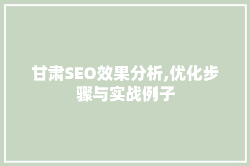 甘肃SEO效果分析,优化步骤与实战例子