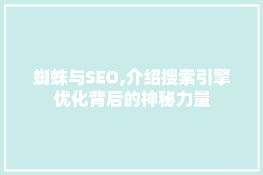 蜘蛛与SEO,介绍搜索引擎优化背后的神秘力量