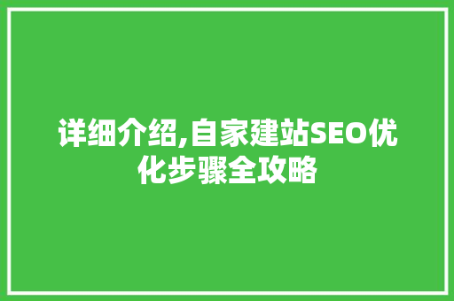 详细介绍,自家建站SEO优化步骤全攻略