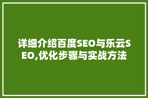 详细介绍百度SEO与乐云SEO,优化步骤与实战方法  第1张