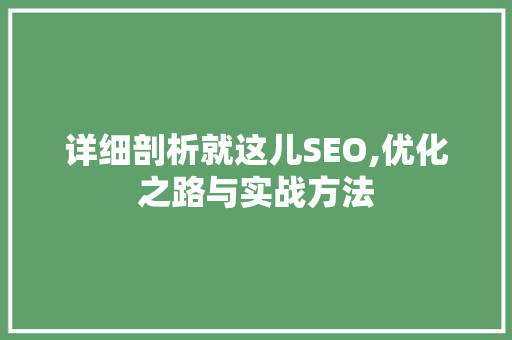 详细剖析就这儿SEO,优化之路与实战方法