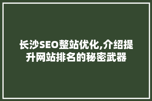 长沙SEO整站优化,介绍提升网站排名的秘密武器