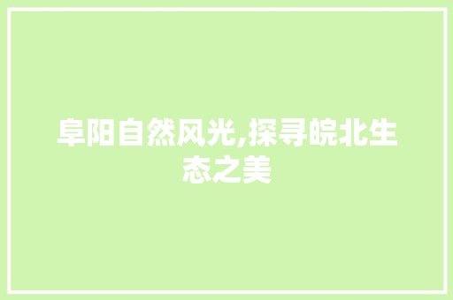 阜阳自然风光,探寻皖北生态之美